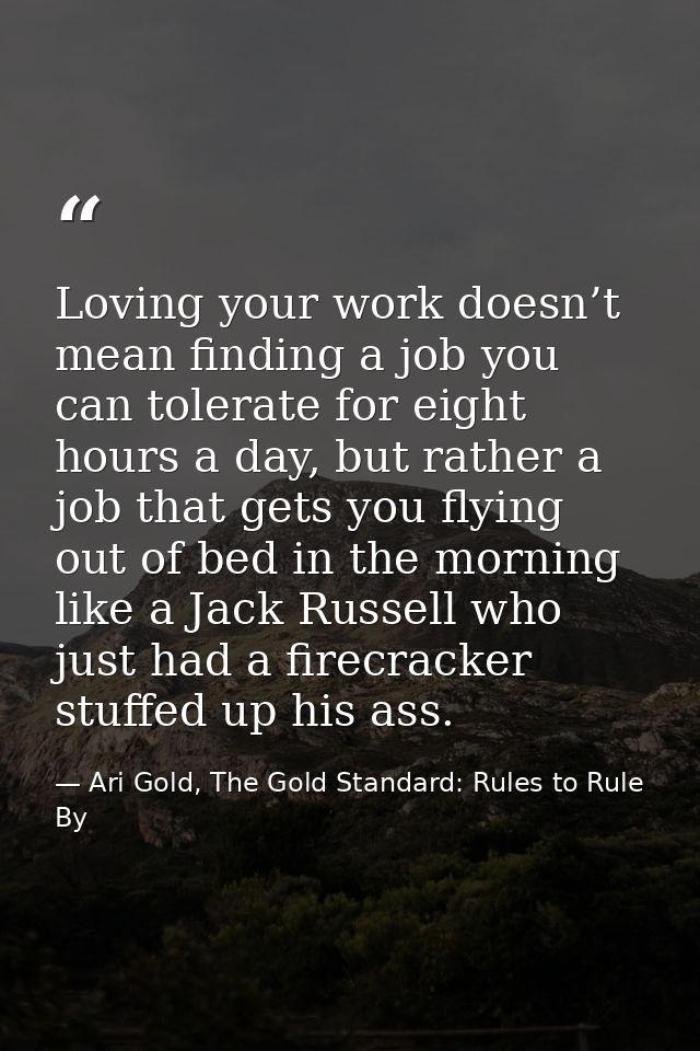 Loving your work doesn’t mean finding a job you can tolerate for eight hours a day, but rather a job that gets you flyin — Ari Gold, The Gold Standard: Rules to Rule By