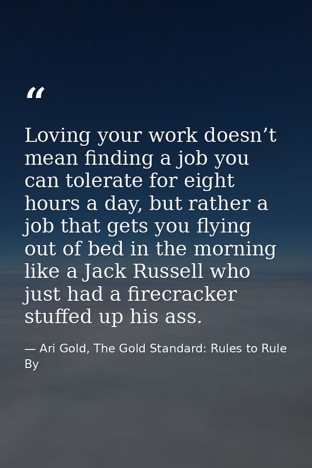 Loving your work doesn’t mean finding a job you can tolerate for eight hours a day, but rather a job that gets you flyin — Ari Gold, The Gold Standard: Rules to Rule By