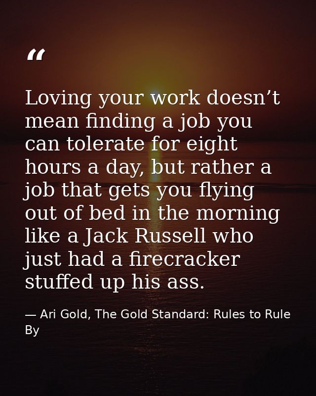 Loving your work doesn’t mean finding a job you can tolerate for eight hours a day, but rather a job that gets you flyin — Ari Gold, The Gold Standard: Rules to Rule By