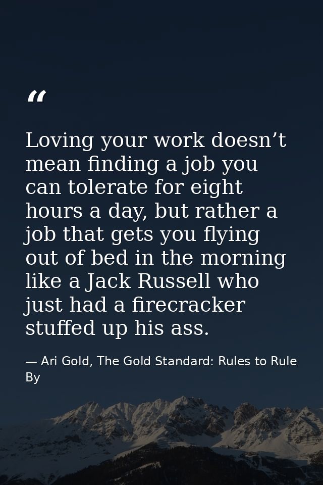 Loving your work doesn’t mean finding a job you can tolerate for eight hours a day, but rather a job that gets you flyin — Ari Gold, The Gold Standard: Rules to Rule By