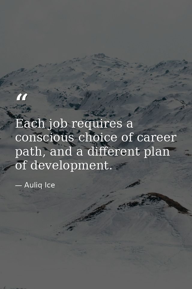 Each job requires a conscious choice of career path, and a different plan of development. — Auliq Ice