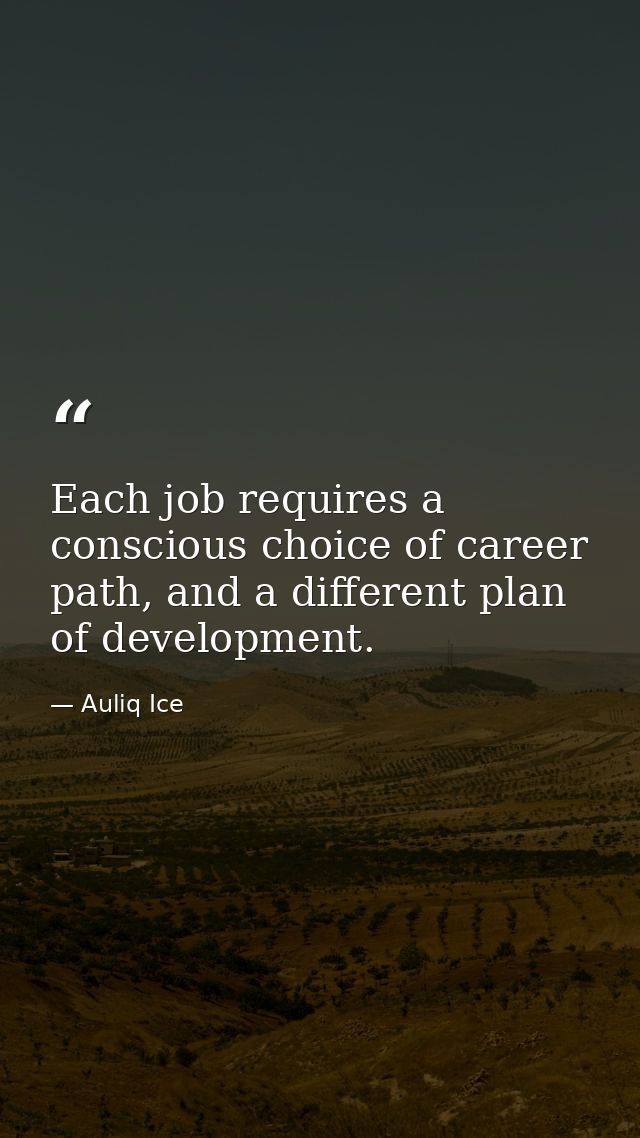 Each job requires a conscious choice of career path, and a different plan of development. — Auliq Ice