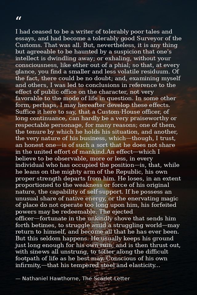 I had ceased to be a writer of tolerably poor tales and essays, and had become a tolerably good Surveyor of the Customs. — Nathaniel Hawthorne, The Scarlet Letter