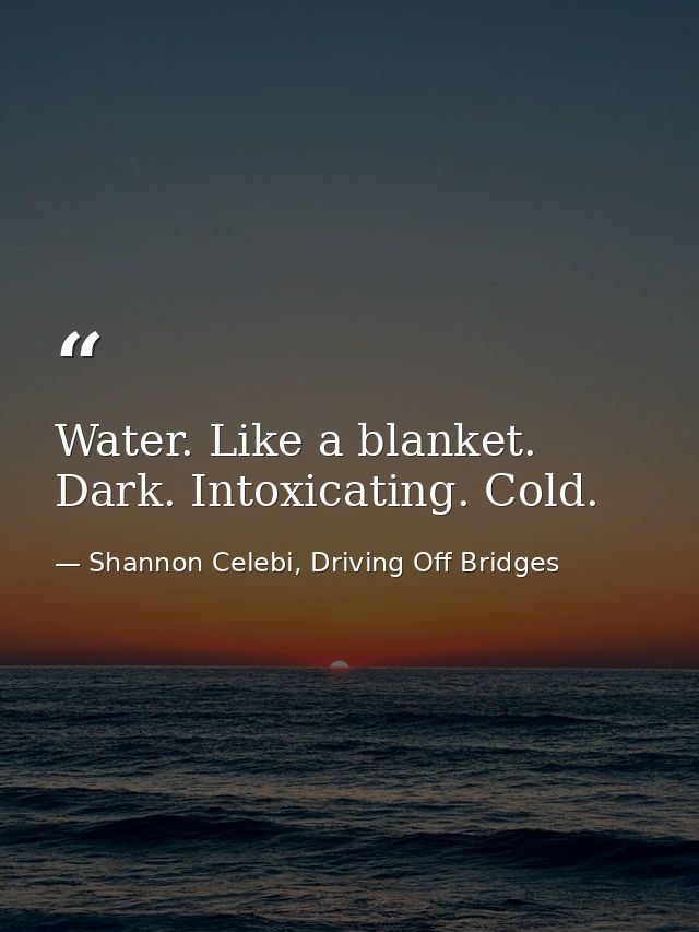 Water. Like a blanket. Dark. Intoxicating. Cold. — Shannon Celebi, Driving Off Bridges