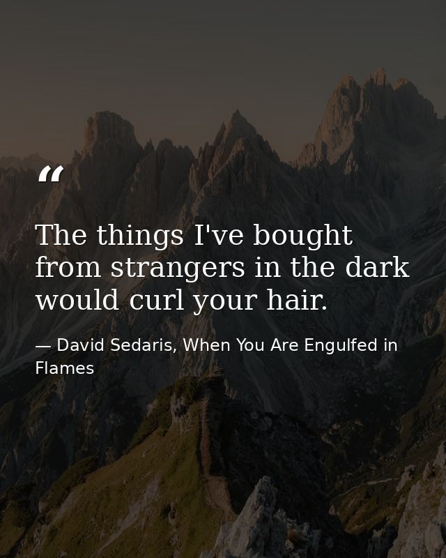 The things I've bought from strangers in the dark would curl your hair. — David Sedaris, When You Are Engulfed in Flames