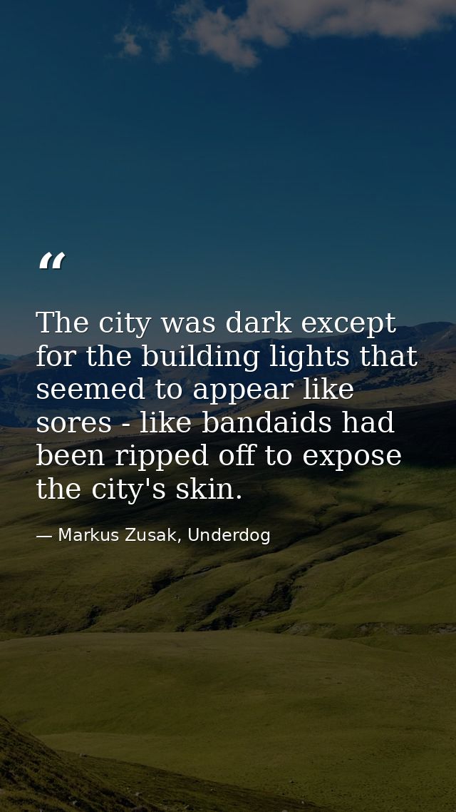 The city was dark except for the building lights that seemed to appear like sores - like bandaids had been ripped off to — Markus Zusak, Underdog