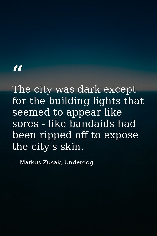 The city was dark except for the building lights that seemed to appear like sores - like bandaids had been ripped off to — Markus Zusak, Underdog