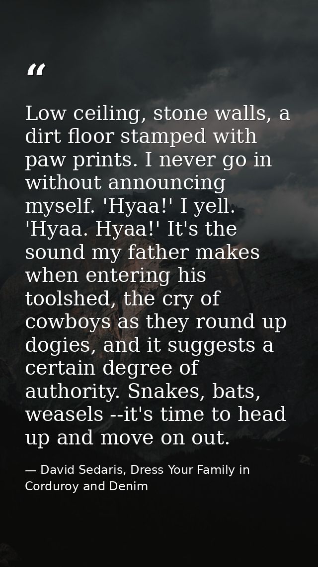 Low ceiling, stone walls, a dirt floor stamped with paw prints. I never go in without announcing myself. 'Hyaa!' I yell. — David Sedaris, Dress Your Family in Corduroy and Denim