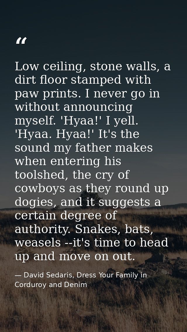 Low ceiling, stone walls, a dirt floor stamped with paw prints. I never go in without announcing myself. 'Hyaa!' I yell. — David Sedaris, Dress Your Family in Corduroy and Denim