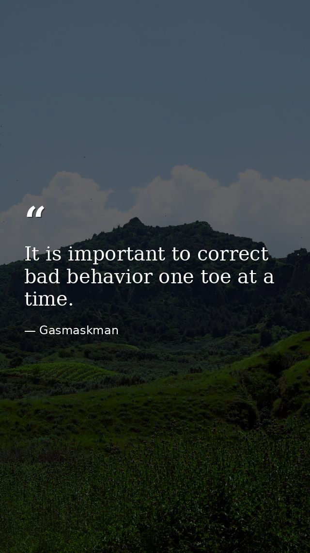 It is important to correct bad behavior one toe at a time. — Gasmaskman