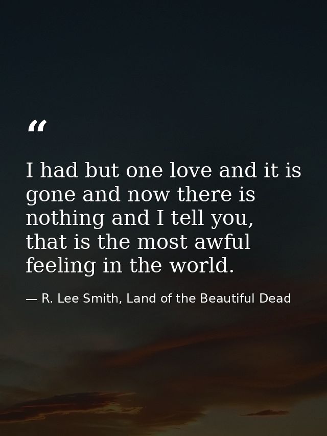 I had but one love and it is gone and now there is nothing and I tell you, that is the most awful feeling in the world. — R. Lee Smith, Land of the Beautiful Dead