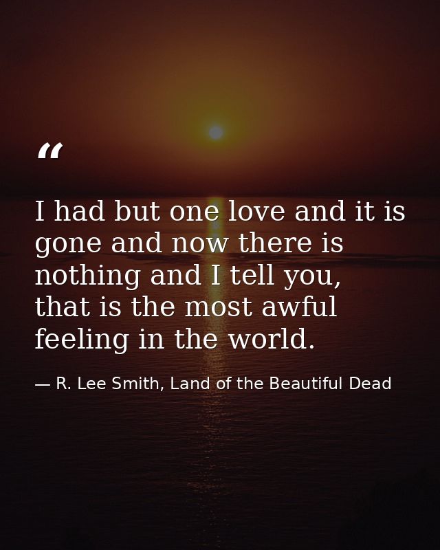 I had but one love and it is gone and now there is nothing and I tell you, that is the most awful feeling in the world. — R. Lee Smith, Land of the Beautiful Dead