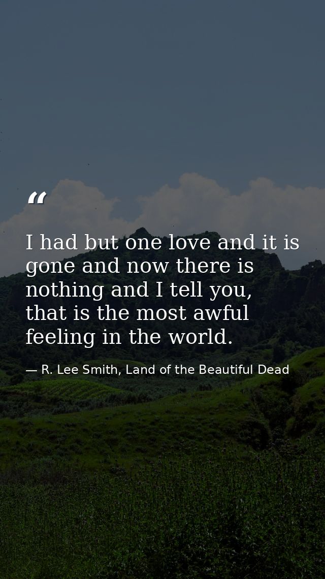 I had but one love and it is gone and now there is nothing and I tell you, that is the most awful feeling in the world. — R. Lee Smith, Land of the Beautiful Dead