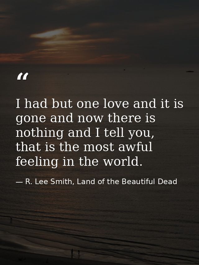 I had but one love and it is gone and now there is nothing and I tell you, that is the most awful feeling in the world. — R. Lee Smith, Land of the Beautiful Dead