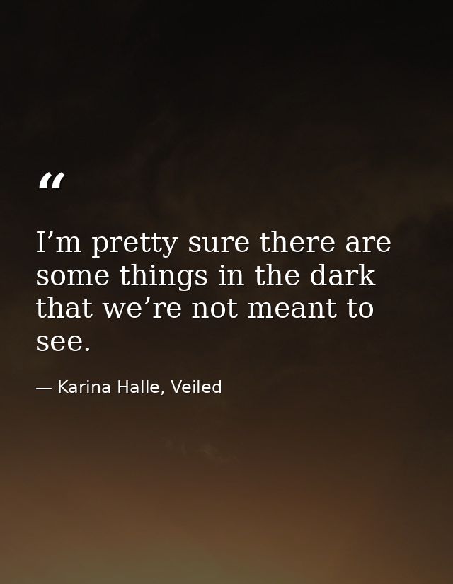 I’m pretty sure there are some things in the dark that we’re not meant to see. — Karina Halle, Veiled