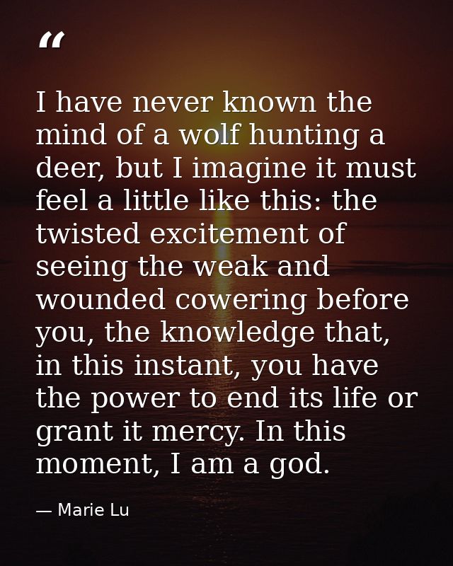 I have never known the mind of a wolf hunting a deer, but I imagine it must feel a little like this: the twisted excitem — Marie Lu