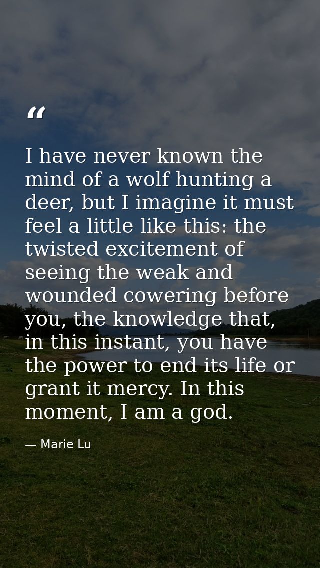 I have never known the mind of a wolf hunting a deer, but I imagine it must feel a little like this: the twisted excitem — Marie Lu