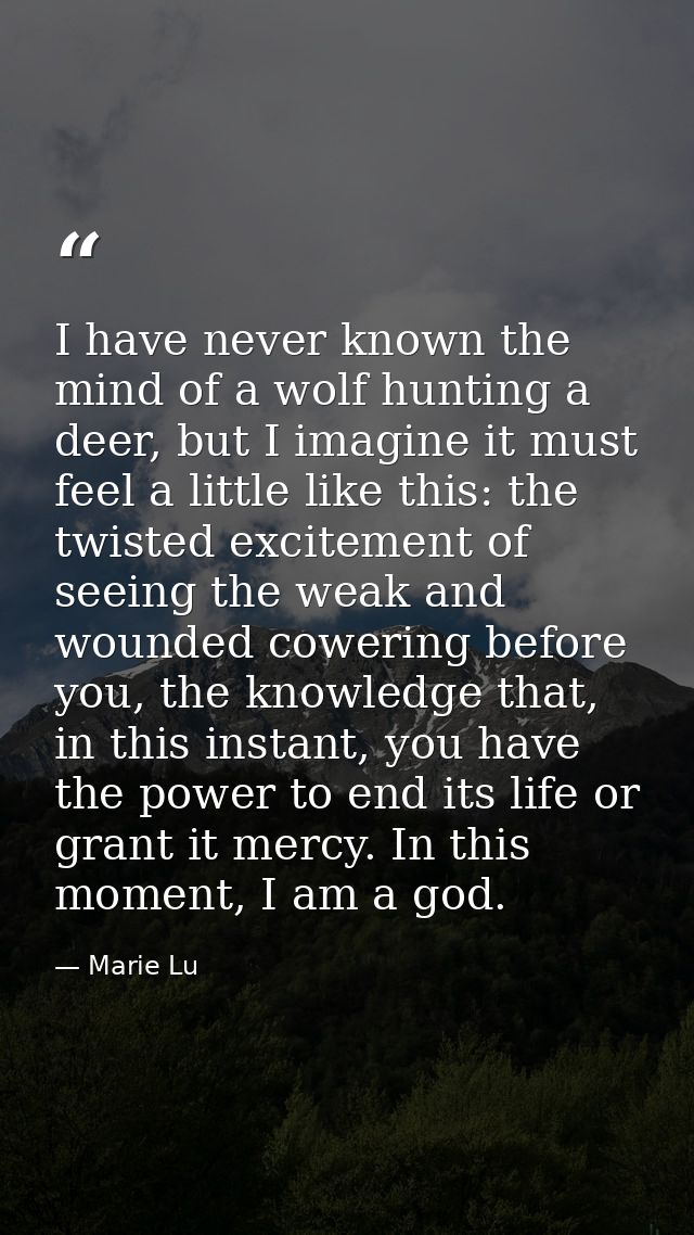 I have never known the mind of a wolf hunting a deer, but I imagine it must feel a little like this: the twisted excitem — Marie Lu