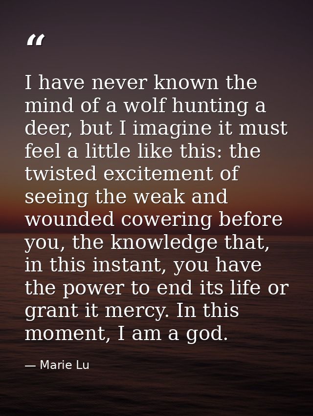 I have never known the mind of a wolf hunting a deer, but I imagine it must feel a little like this: the twisted excitem — Marie Lu