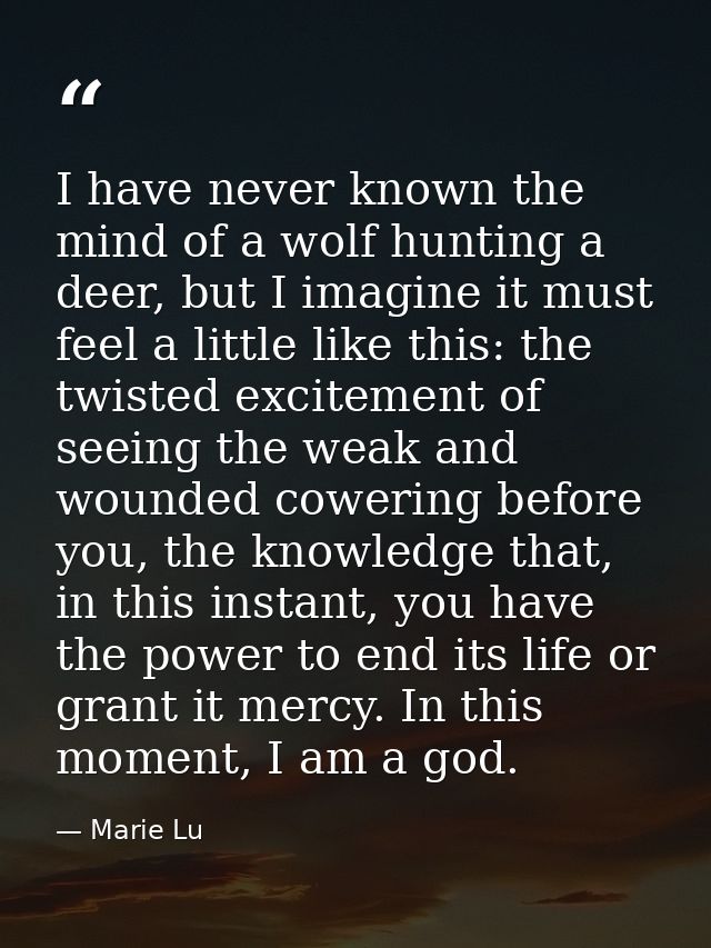 I have never known the mind of a wolf hunting a deer, but I imagine it must feel a little like this: the twisted excitem — Marie Lu