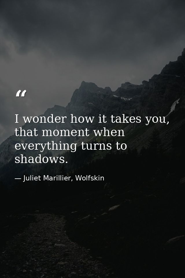 I wonder how it takes you, that moment when everything turns to shadows. — Juliet Marillier, Wolfskin