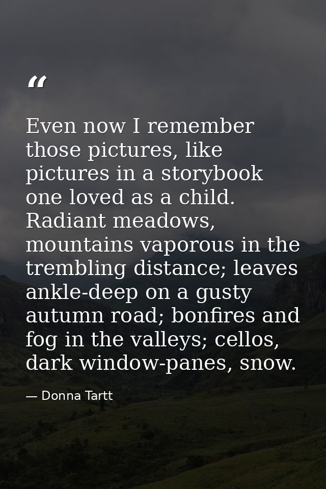 Even now I remember those pictures, like pictures in a storybook one loved as a child. Radiant meadows, mountains vaporo — Donna Tartt