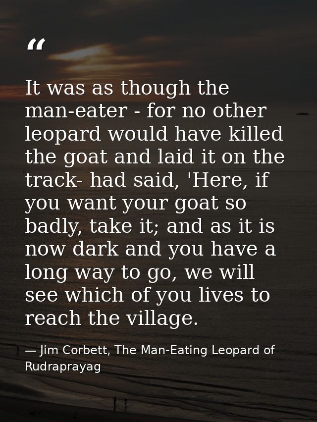 It was as though the man-eater - for no other leopard would have killed the goat and laid it on the track- had said, 'He — Jim Corbett, The Man-Eating Leopard of Rudraprayag