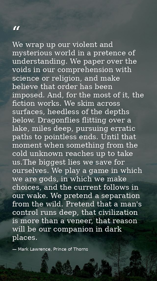We wrap up our violent and mysterious world in a pretence of understanding. We paper over the voids in our comprehension — Mark Lawrence, Prince of Thorns