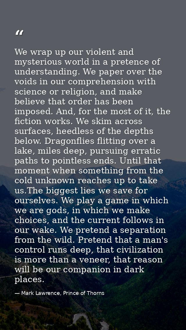 We wrap up our violent and mysterious world in a pretence of understanding. We paper over the voids in our comprehension — Mark Lawrence, Prince of Thorns