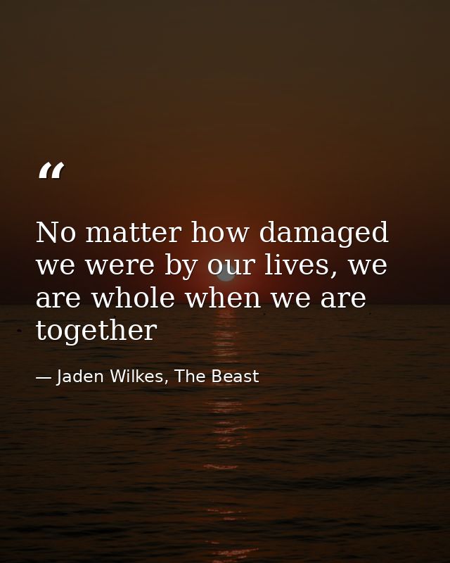 No matter how damaged we were by our lives, we are whole when we are together — Jaden Wilkes, The Beast