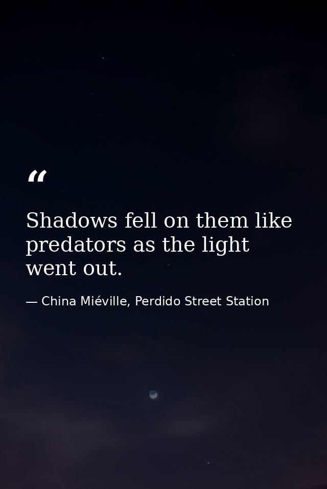Shadows fell on them like predators as the light went out. — China Miéville, Perdido Street Station