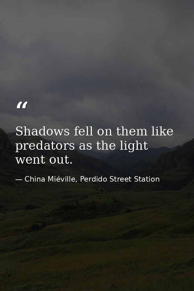 Shadows fell on them like predators as the light went out. — China Miéville, Perdido Street Station
