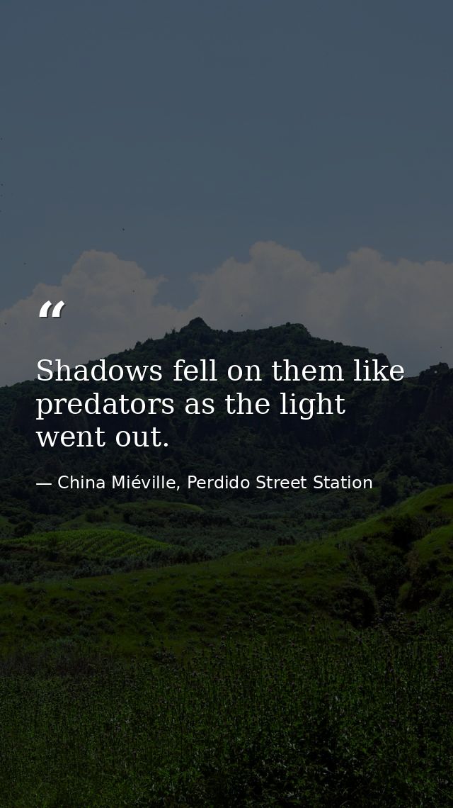Shadows fell on them like predators as the light went out. — China Miéville, Perdido Street Station