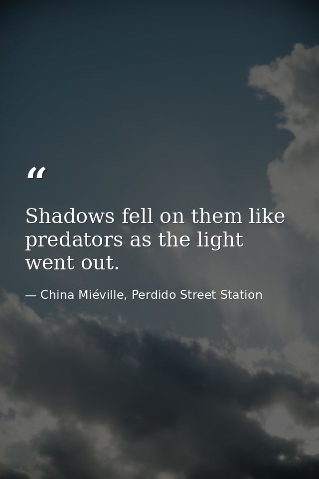 Shadows fell on them like predators as the light went out. — China Miéville, Perdido Street Station