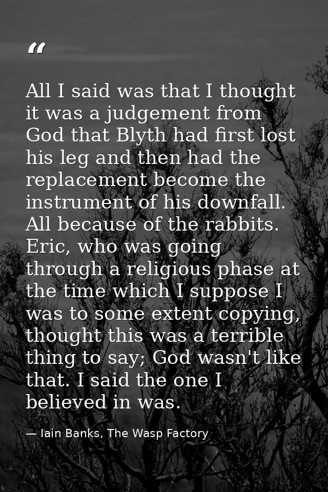 All I said was that I thought it was a judgement from God that Blyth had first lost his leg and then had the replacement — Iain Banks, The Wasp Factory