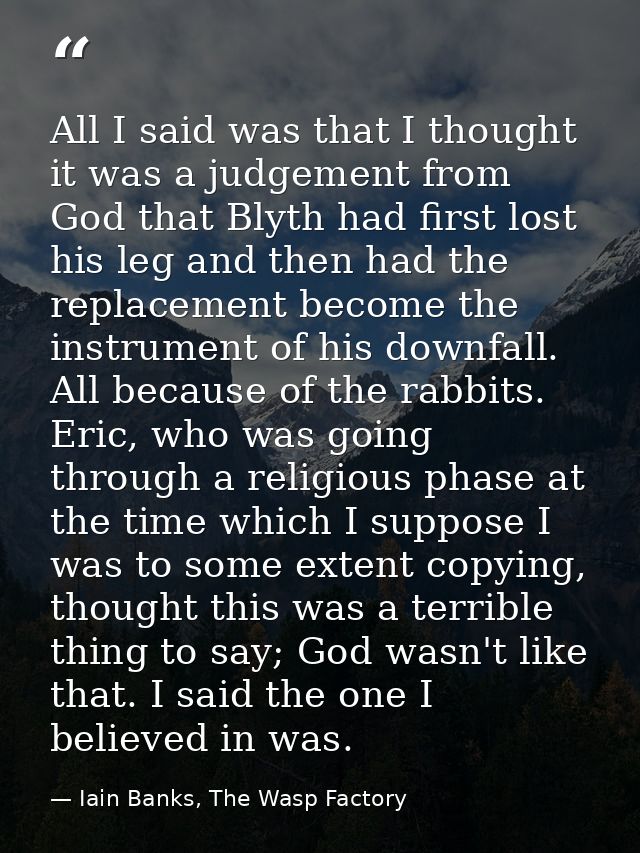 All I said was that I thought it was a judgement from God that Blyth had first lost his leg and then had the replacement — Iain Banks, The Wasp Factory