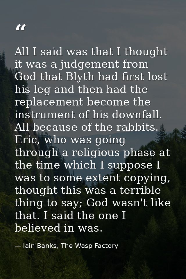 All I said was that I thought it was a judgement from God that Blyth had first lost his leg and then had the replacement — Iain Banks, The Wasp Factory