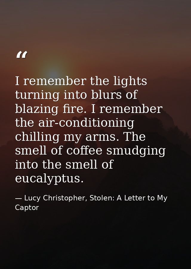 I remember the lights turning into blurs of blazing fire. I remember the air-conditioning chilling my arms. The smell of — Lucy Christopher, Stolen: A Letter to My Captor