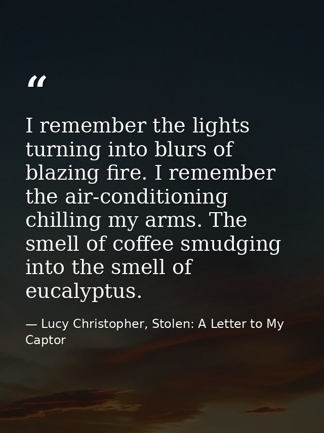 I remember the lights turning into blurs of blazing fire. I remember the air-conditioning chilling my arms. The smell of — Lucy Christopher, Stolen: A Letter to My Captor