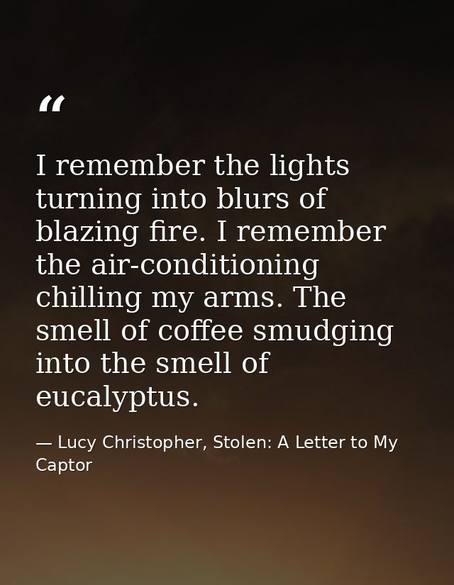 I remember the lights turning into blurs of blazing fire. I remember the air-conditioning chilling my arms. The smell of — Lucy Christopher, Stolen: A Letter to My Captor