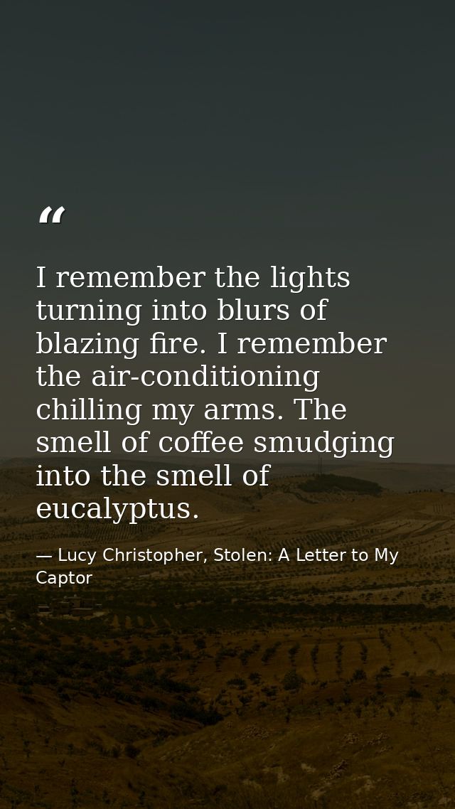 I remember the lights turning into blurs of blazing fire. I remember the air-conditioning chilling my arms. The smell of — Lucy Christopher, Stolen: A Letter to My Captor