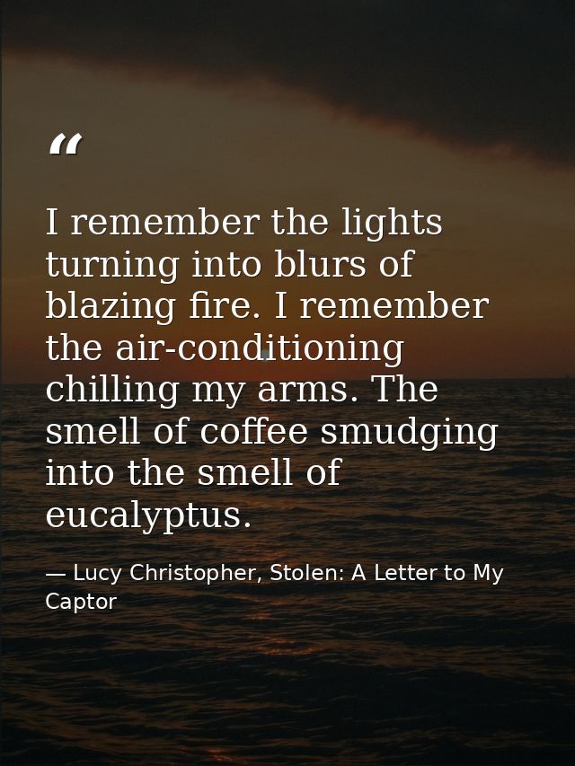 I remember the lights turning into blurs of blazing fire. I remember the air-conditioning chilling my arms. The smell of — Lucy Christopher, Stolen: A Letter to My Captor