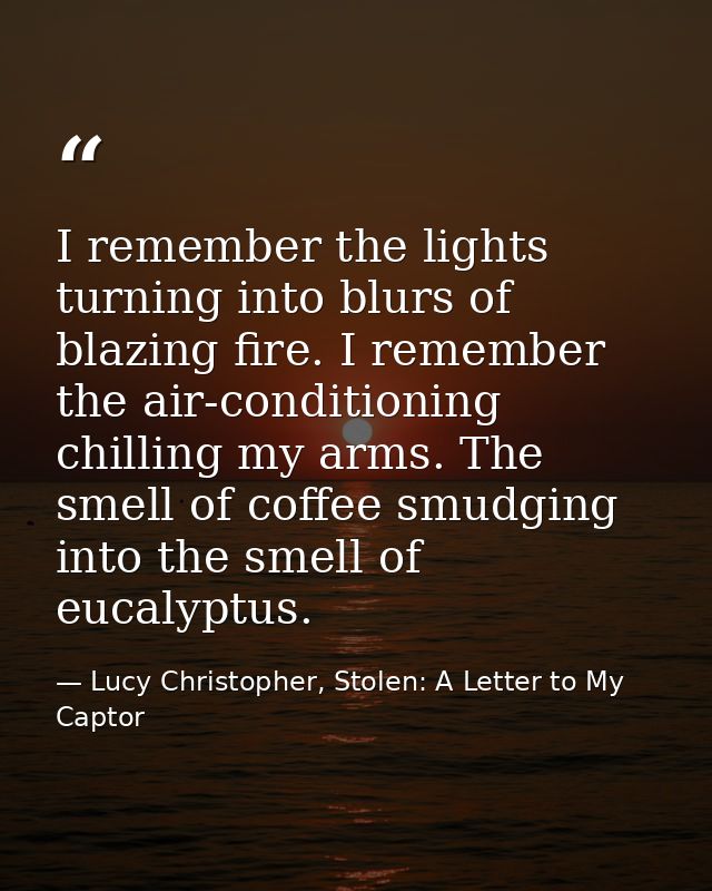 I remember the lights turning into blurs of blazing fire. I remember the air-conditioning chilling my arms. The smell of — Lucy Christopher, Stolen: A Letter to My Captor