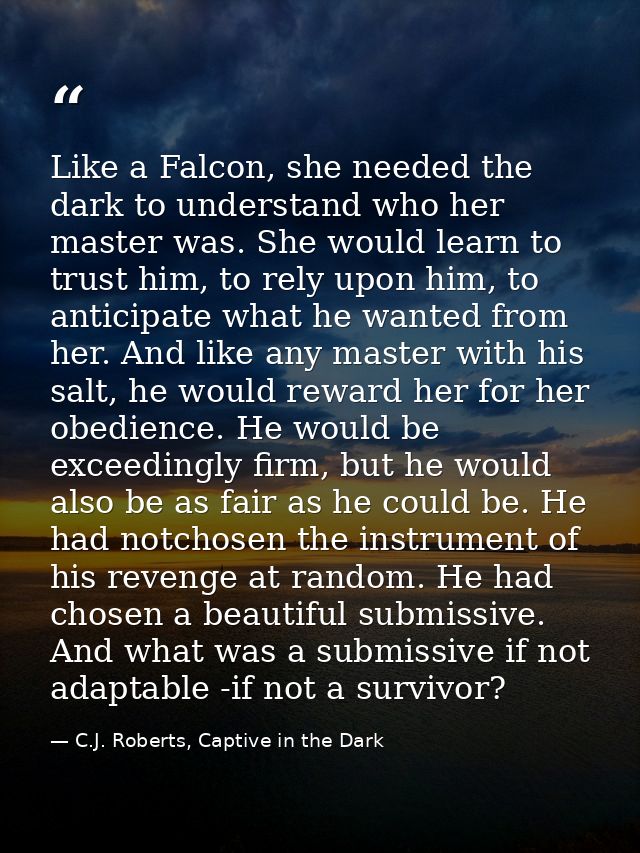 Like a Falcon, she needed the dark to understand who her master was. She would learn to trust him, to rely upon him, to  — C.J. Roberts, Captive in the Dark