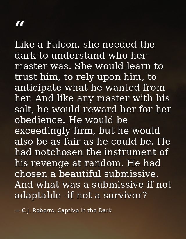 Like a Falcon, she needed the dark to understand who her master was. She would learn to trust him, to rely upon him, to  — C.J. Roberts, Captive in the Dark