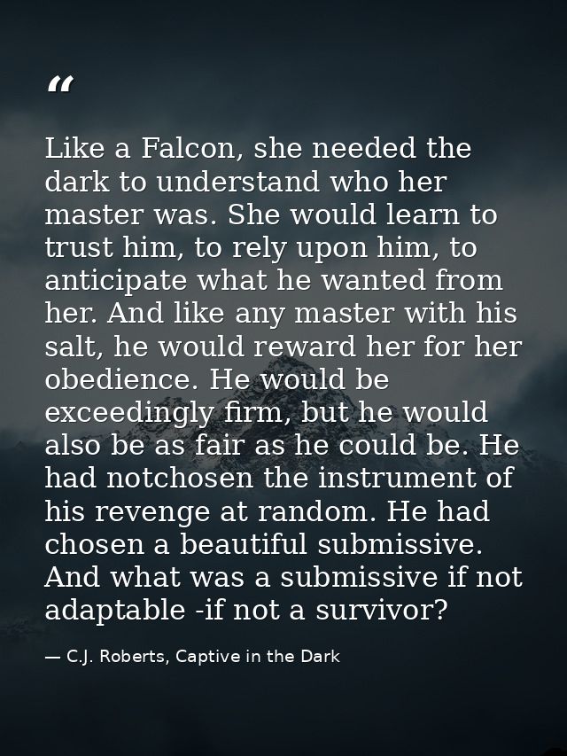 Like a Falcon, she needed the dark to understand who her master was. She would learn to trust him, to rely upon him, to  — C.J. Roberts, Captive in the Dark