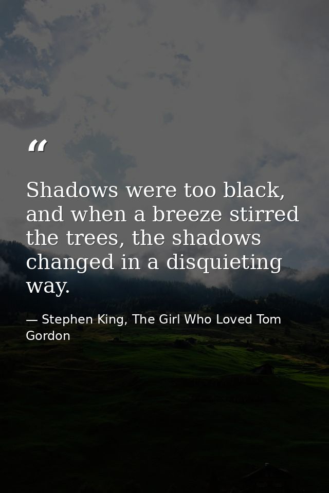 Shadows were too black, and when a breeze stirred the trees, the shadows changed in a disquieting way. — Stephen King, The Girl Who Loved Tom Gordon