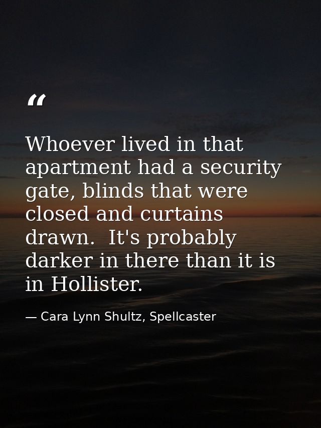 Whoever lived in that apartment had a security gate, blinds that were closed and curtains drawn.  It's probably darker i — Cara Lynn Shultz, Spellcaster