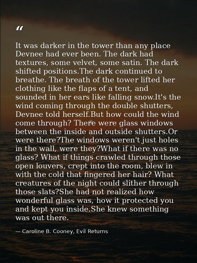 It was darker in the tower than any place Devnee had ever been. The dark had textures, some velvet, some satin. The dark — Caroline B. Cooney, Evil Returns