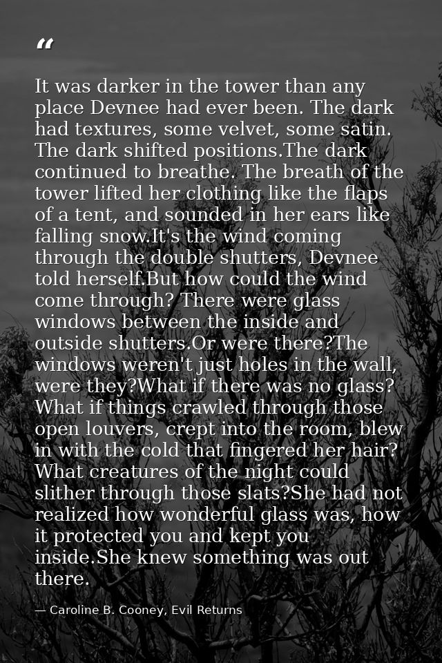 It was darker in the tower than any place Devnee had ever been. The dark had textures, some velvet, some satin. The dark — Caroline B. Cooney, Evil Returns